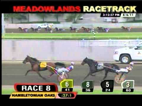 Hambletonian Oaks Final 2011 on August 6 at Meadowlands Racetrack