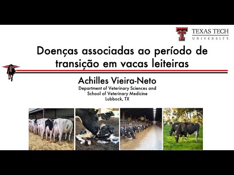 , title : 'Doenças associadas ao período de transição em vacas leiteiras'