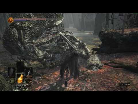 Dark Souls 3 - Crab exe has stopped working