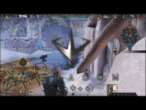 Paragon Lt.Belica #35: Skin Testing