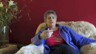 The Inca tradition | Interview with Elizabeth Jenkins
