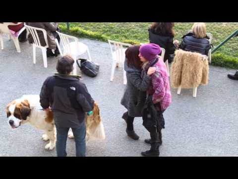 20-2-2016 lascaris - victoria Ivest 3t prima parte