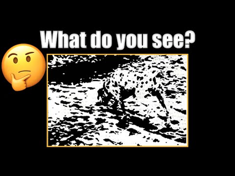 Variational Autoencoder - VISUALLY EXPLAINED!