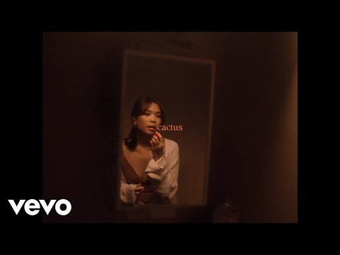 noui - cactus (Visualizer)