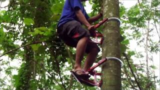 Download lagu Power poles for climbing coconut pine durian trees. Climb kit. easy climb with technology idea. mp3 Download lagu Power poles for climbing coconut pine durian trees. Climb kit. easy climb with technology idea. mp3