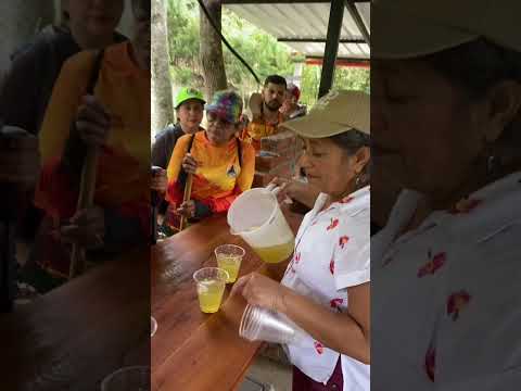 Pamplonita Rural