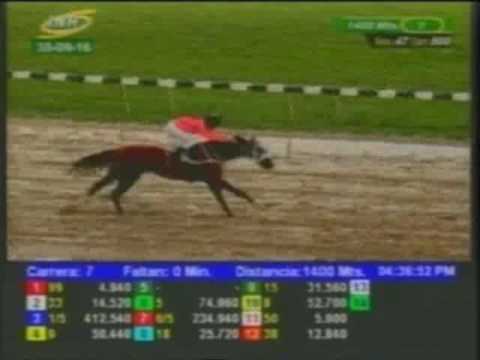 Resumen Viernes, 30 de Septiembre de 2016 - Valencia