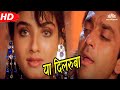 Ya Dilruba Ya Dilruba (HD) | Aatish (1994) | Sanjay Dutt | Raveena Tandon | Karisma Kapoor