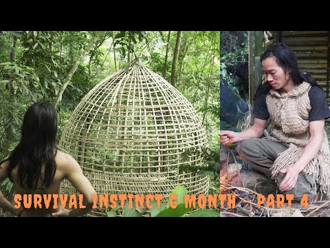 Survival Instinct - The 6 Month Survival Challenge In The Jungle - part 4