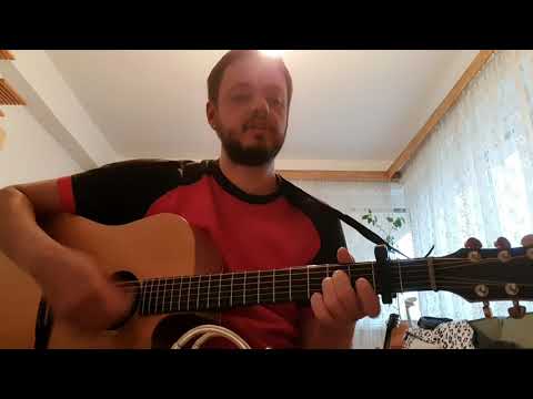 Nedvědi - Jižní kříž cover