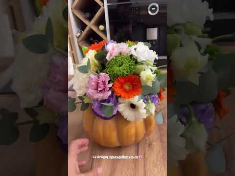 Ileana Sterp received a pumpkin with flowers #shorts