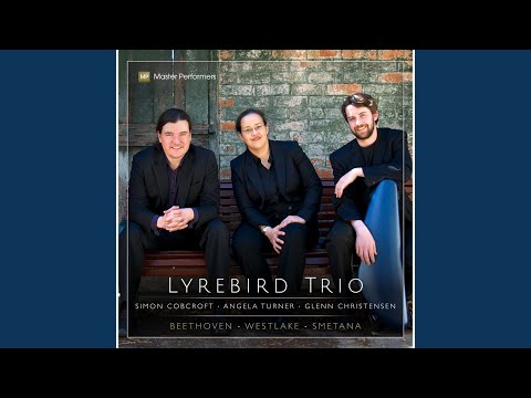 Piano Trio in D Major, Op. 70 No. 1 "Ghost": III. Presto