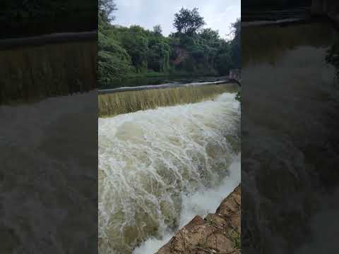 Vairavanai at📍 Gudalur #nature #naturesounds #shorts #yt #naturetrailswithjameer