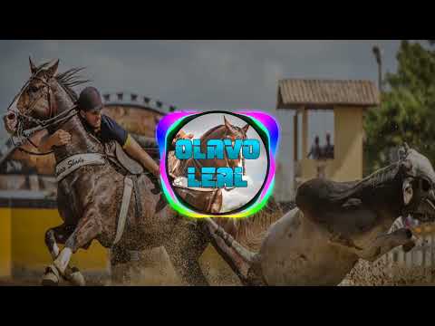 Vaqueiro Ferroado - Kara Veia #forro #vaquejada #vaqueiro #toadas #vaqueira #musica #aboios