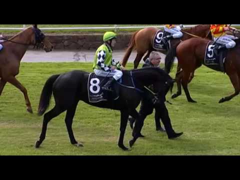 Belmont Park, 04/06/2016 - Race 3 - SHINTA MANI - Sharon Miller & Jason Whiting