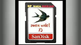 Download lagu suara panggil walet sp NAGA MERAH ( jernih ) versi aplikasi dideskripsi video mp3