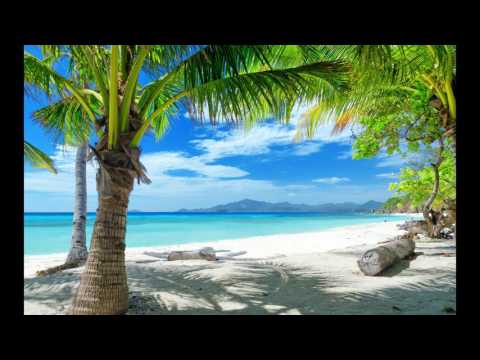 Thomas Dachowicz feat. Farisha / Rewind Snippet