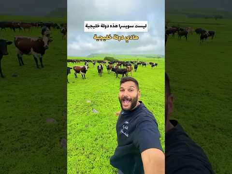 هذي دولة خليجية 😱⁉️
