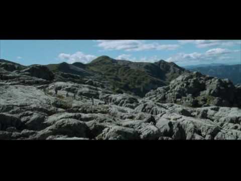 The Fall of Gandalf - The Fellowship of the Ring