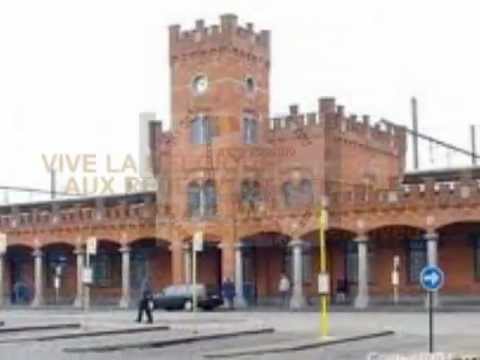 verstoeitelingskes 2013