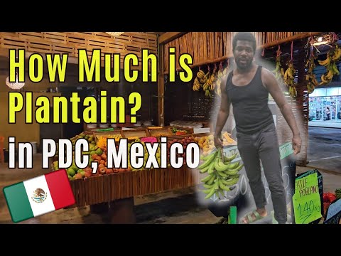 Their First Day at School & Buying Plantain | Living in Playa Del Carmen