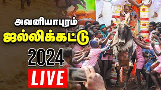 🔴Jallikattu Live 2024  Avaniyapuram  அவன�
