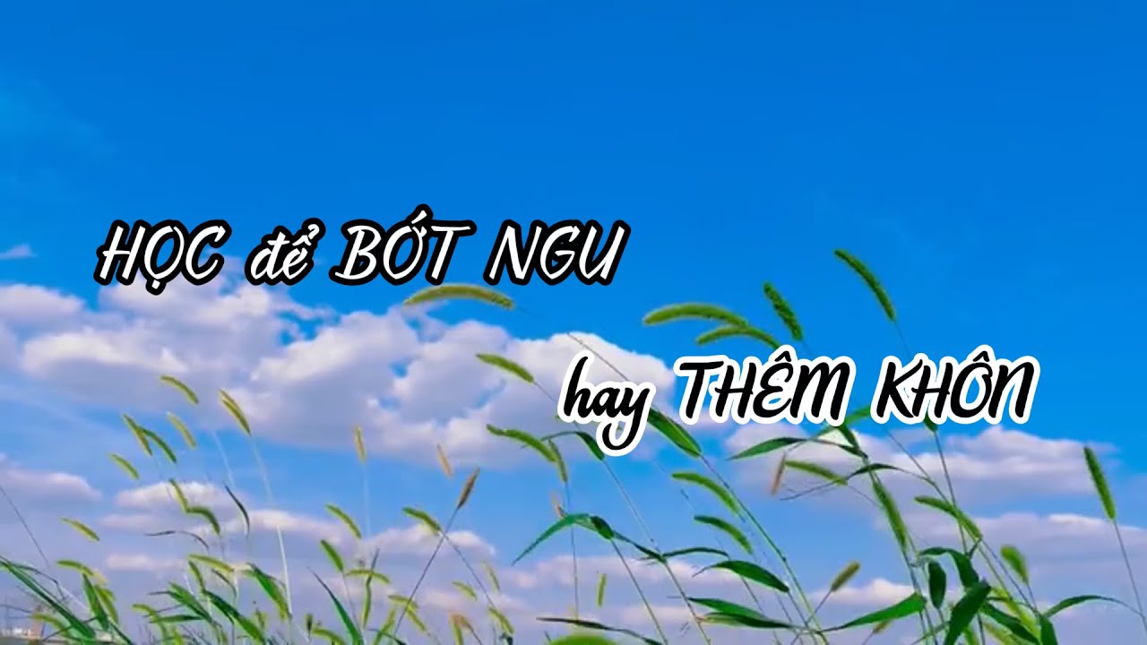Học Để "Bớt Ngu" hay "Thêm Khôn"? Một Góc Nhìn Thay Đổi Cuộc Sống