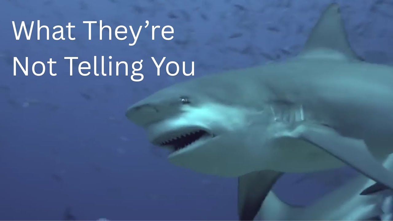 All Fatal Shark Attacks of 2015 And The Great Shark Coverup