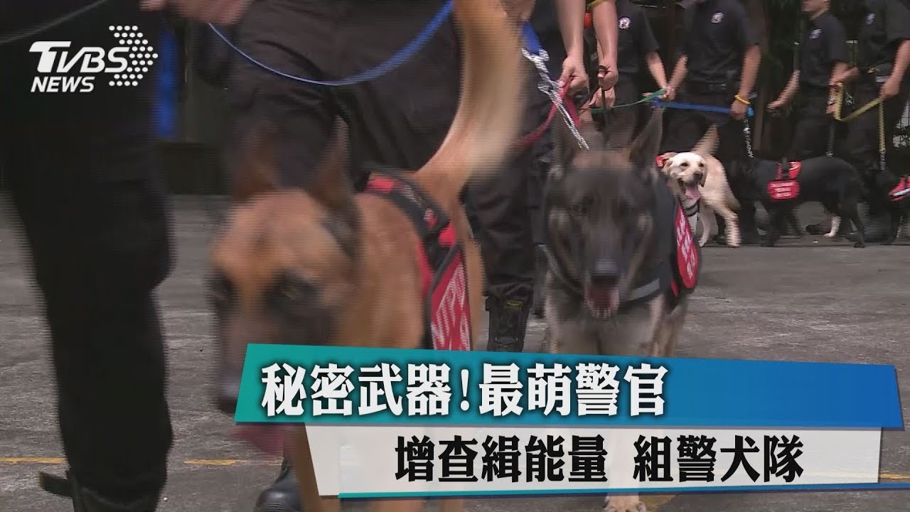 秘密武器!最萌警官增查緝能量 組警犬隊