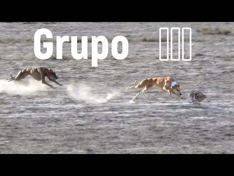 Round of 32, Group III, November 22 and 23, 2025, in Albacete