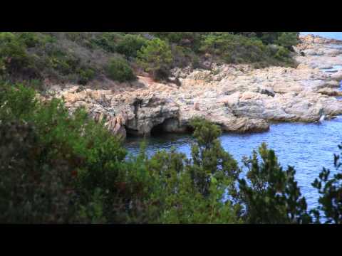 Pescador di l'onda - Regina et Bruno