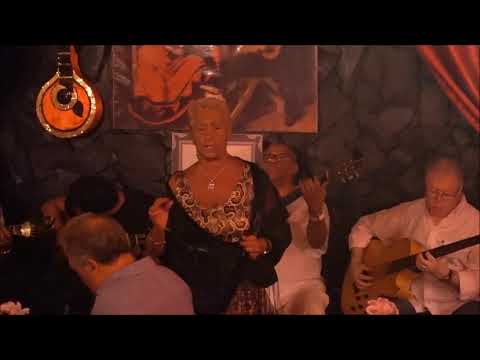 Tina  Rodrigues - "Minhas netas, minhas raízes"