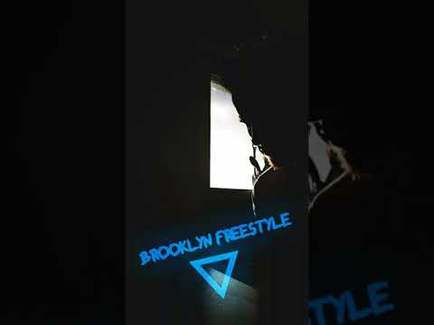 Stiz-Brooklyn Freestyle (REMIX)