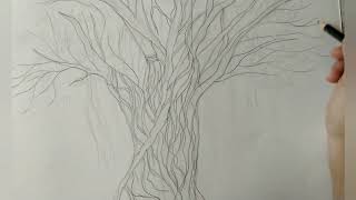 Realistic peepal tree sketching|shading
