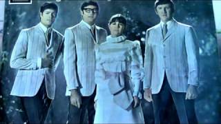 When Will The Good Apples Fall     ------      The Seekers