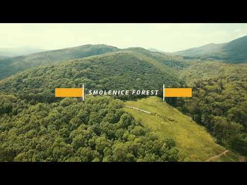 Trnava Smolenice Castle - Slovakia 4k