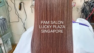 PAM SALON (LUCKY PLAZA)HAIR REBONDING