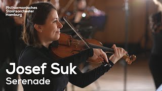 Josef Suk / Capella Istropolitana - Serenade Voor Strijkers Op. 6 (1) video