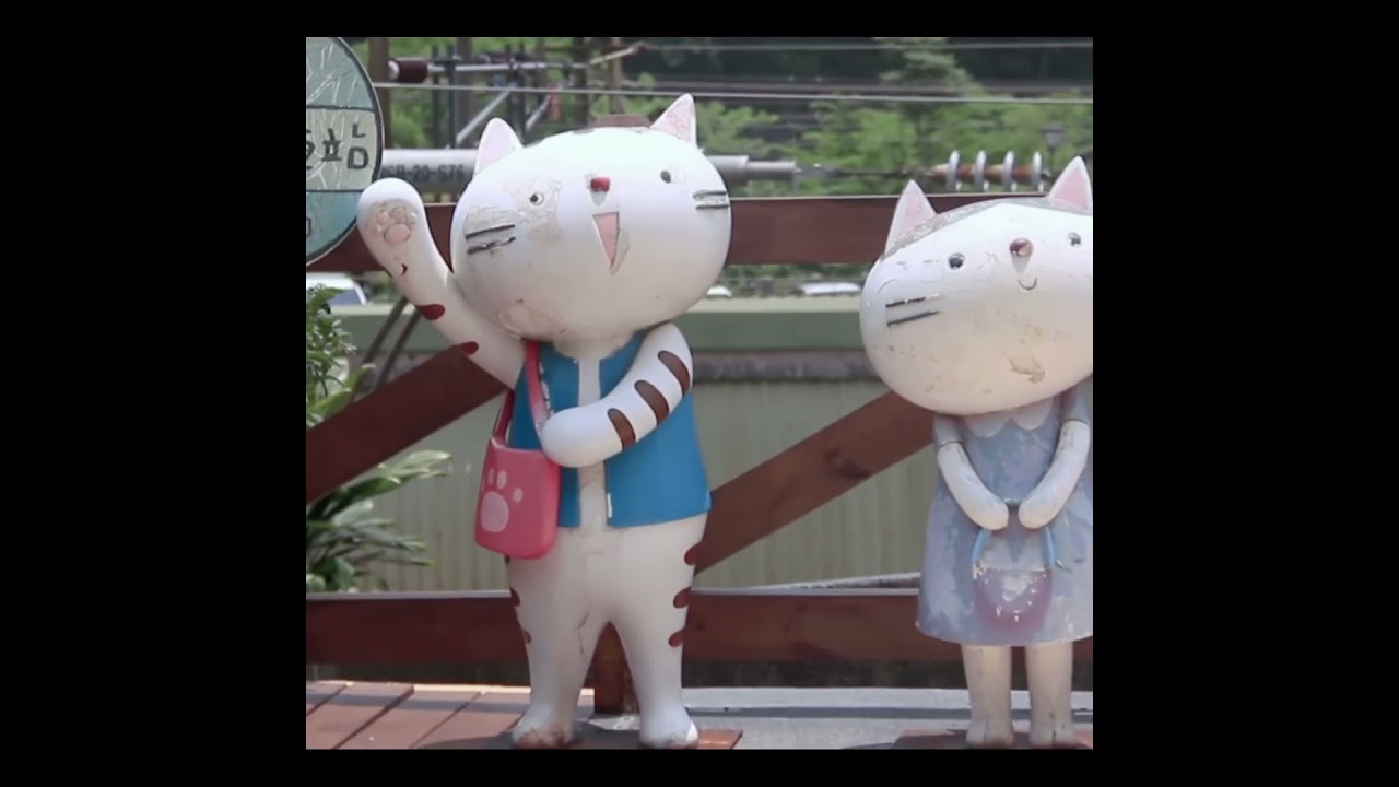 成都女孩台灣療癒之旅，什麼讓她卸下了防備#shorts