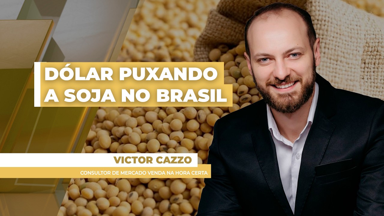 FECHAMENTO DE MERCADO DA SOJA - EDIÇÃO 19/06/2026