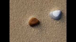 Astralasia - Wave Of Probability