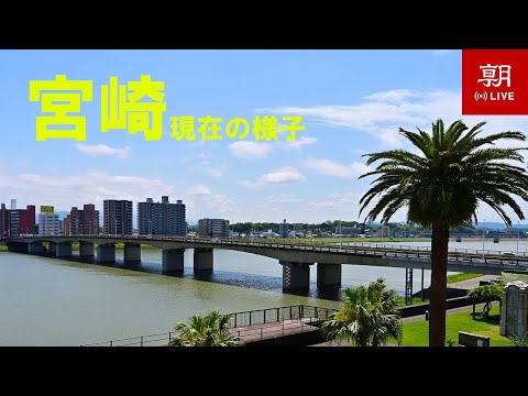 大淀川 の宮崎市内のライブカメラ映像
