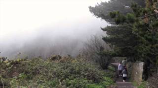 preview picture of video 'Fog on Killiney Hill Dublin'
