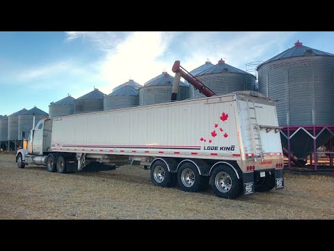 Hauling The Black Gold