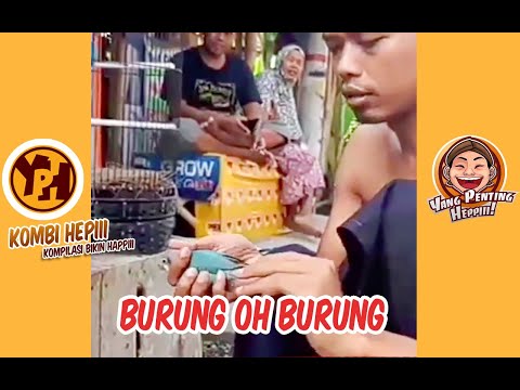 kombi-heppiii-burung-oh-burung