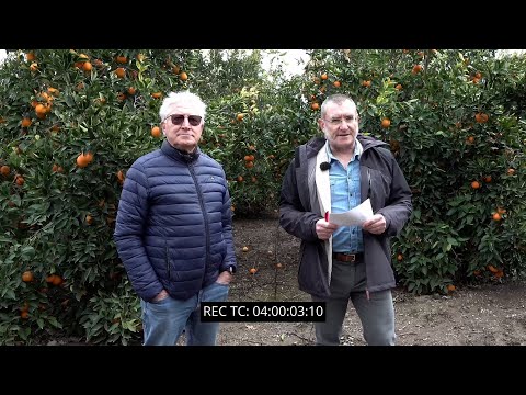 video media thumbnail