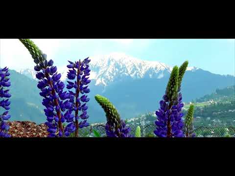 Bhaderwah, video by Maloop Singh