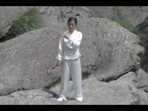 Lungen Qi Gong Übung 天愛養肺功