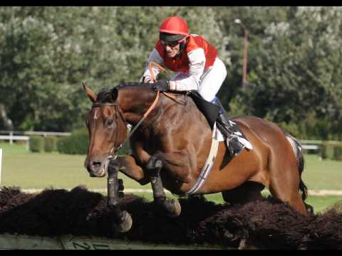 Dostihy by Filip Kalka [HQ]