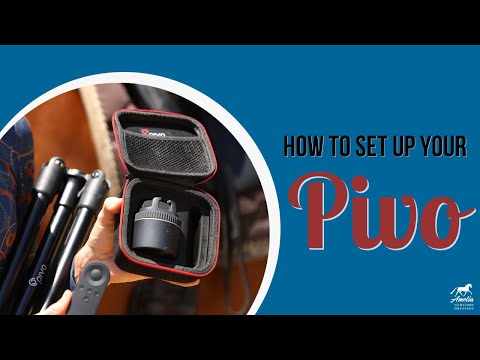 How to set up your PIVO